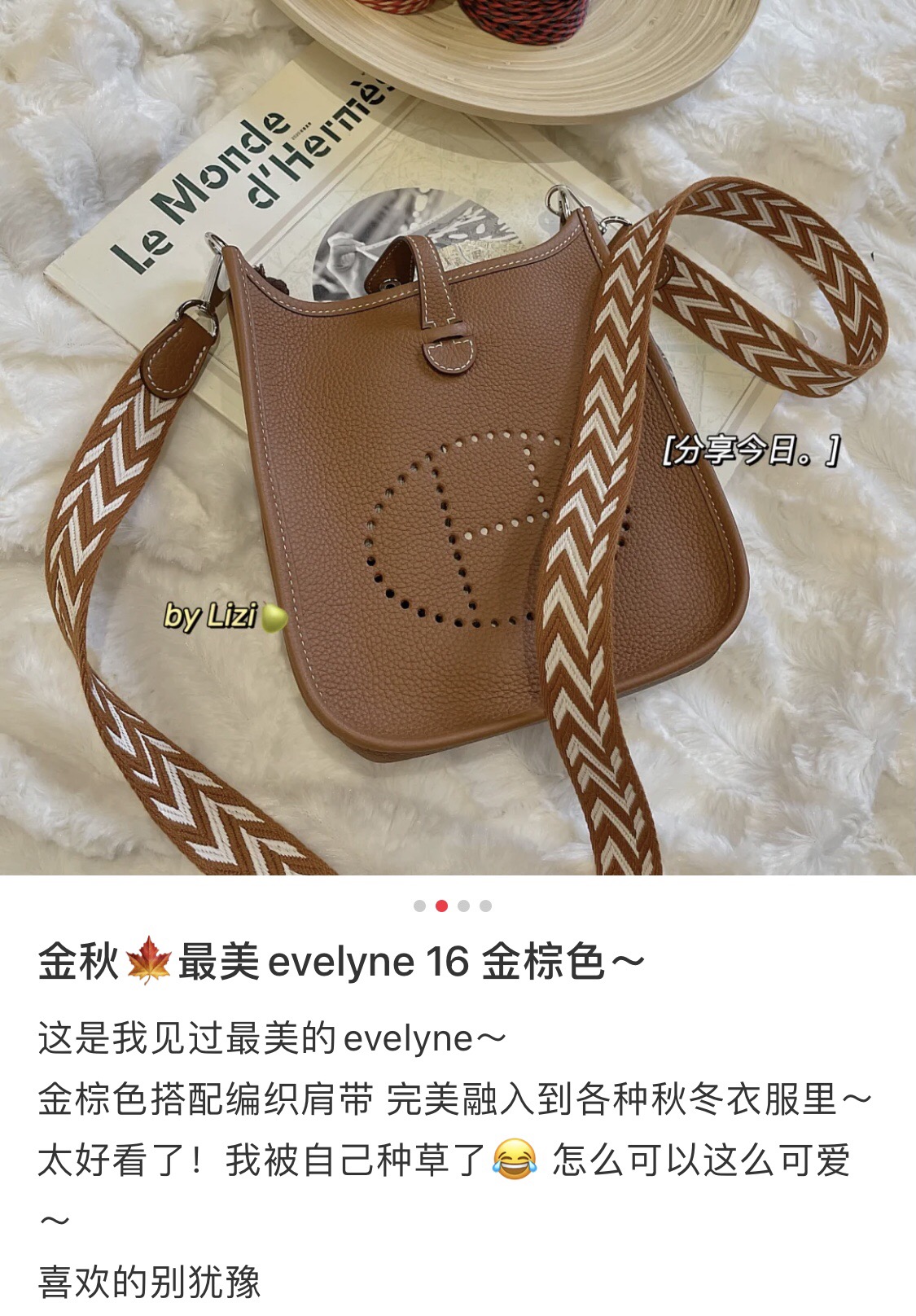 Hermes Evelyn Bags